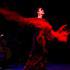Flamenco à Paris - Spectacles / Animations Flamenco - Image 2
