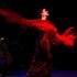 Flamenco à Paris - Spectacles / Animations Flamenco - Image 2