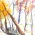 Stage de 4 jours AU JARDIN Aquarelle, PEINTURE,DESSIN, ET... - Image 16