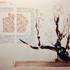 David Schneider  - cours de calligraphie-enluminure
