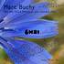 Marc Buchy - Horloge de flore 
