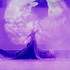 compagnie CEL DANSE & ART - CLOCHETTE ET LES 4 SAISONS - Image 18