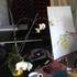 Stages Dessin/Peinture adultes, Atelier les Peintureux - Image 2