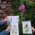 my atelier - stages et de cours d'Arts plastiques - Image 4