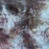 JNA 2026 : Exposition « Symbiophos » de Nadine Pillon - Image 2