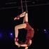 Compagnie Krilati - Cirque contemporain, Spectacle sur mesure, Plateaux artistes