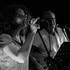 THE HARRISONS - Duo acoustique, Pop Folk & Irlandais - Image 3