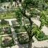 Jardin Médiéval du Barry