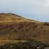 Puy de Wolf