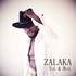 Zalaka - Chanteur et danseur confirmé - Image 2