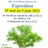 Exposition photo sur le thème de l'arbre