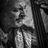 SERGE F - cours contrebasse accordeon - Image 4