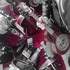 Chris et Cows  - Jazz, swing, blues, chansons pour enfants. - Image 3