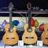 Gitano Forever  - Groupe Gipsy de la camargue