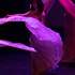 COMPAGNIE Sladjana - Danses du Monde et Fusion Danses - Image 4