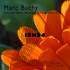 Marc Buchy - Horloge de flore  - Image 2