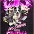 Compagnie Dog Trainer - Les Chiens font leur Cinéma