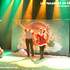 Spectacles de noel - Contes musicaux de noel dynamiques et interactifs