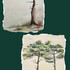 Dominique Massini  - Cours Aquarelle, peinture 