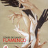 Flamenco, cours de danse