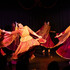 Association Lasya Tandav - Cours de danses indiennes - Image 7