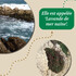 Journée Nature et Histoire : un littoral exceptionnel – photo 5