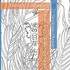 Doudou Edition - Illustratrice et auteure jeunesse : livres et illustrations - Image 8