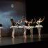espace terranga - école de danse  - Image 4