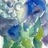 Stage de 4 jours AU JARDIN Aquarelle, PEINTURE,DESSIN, ET... - Image 26