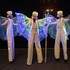Cie Dreamlighters  - The Fairy Parade (parade blanche lumineuse) - Image 5
