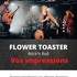 Flower Toaster - Un live électrique excitant et tendre à la fois !  - Image 2