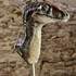 Taillandier Thibault  - Cours de dessin, peintures, sculptures 2D et 3D - Image 6