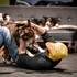 Compagnie Dog Trainer - Les Chiens font leur Cinéma - Image 2