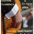 Stéphane Péron  - Cours de GUITARE FLAMENCA :  Rennes et en ligne