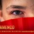 LUNARES & TACONES - Ateliers Danse Flamenco