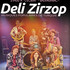 DELI ZIRZOP en concert