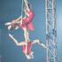 Compagnie Krilati - Cirque contemporain, Spectacle sur mesure, Plateaux artistes - Image 3