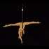 Cirkadance  - École et compagnie de nouveau cirque et pôle dance  - Image 2