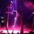 CIRQUE EVENT - Le spécialiste du Cirque en France, sous toutes ses formes - Image 5