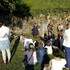 France Quatromme - Conteuse propose spectacles - Image 2
