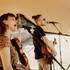 Redwood Factory - Duo Blues/Folk - Image 3
