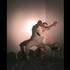 Funi Performeur - ouverture d'un site de danseur, 40 vidéo-performances sympas