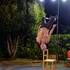 Chute Libre  - Spectacle de Cirque 