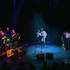 Louisiane And Caux Jazz Band - Jazz Traditionnel, New Orleans, Dixieland - Image 29