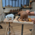 Coeur d'Argile - Atelier à la carte : Modelage/Sculpture en grès