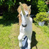 Donne licorne  - Image 2