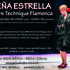 Stages de danse Flamenco: Technique