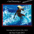 "Surf Dreaming"