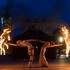 La Compagnie des Cendres - Euphorie, spectacle de jonglerie enflammée et pyrotechnique - Image 6
