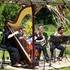 Ensemble Althéa - Animations musicales Harpe, Chant et Instruments - Image 4